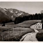 Schlossangeralm - Pfronten - Ried