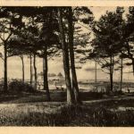 Ostseebad Arendsee - Waldpartie am Stande