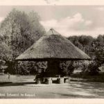 Bad Buckow - Im Kurpark