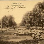 Bonn - Poppelsdorfer Allee