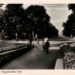 Bonn - Poppelsdorfer Allee