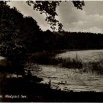 Usedom - Wolgast See