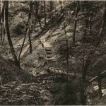 Buckow - Silberkehle