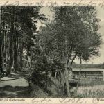 Templin - Waldweg am Lübbe-See