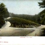 Harburg - Vereinsweg in der Haake