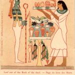 Leaf out of the Book of the Dead