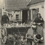 Hundekutsche - laitiere flamade
