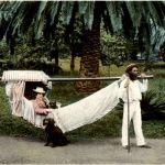 Madeira - Hammock
