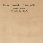 Madeira - Hammock