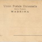 Madeira - Corca de bois