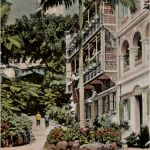 Hongkong - Palms in Gleneally