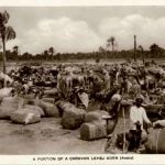 Aden - Caravan Lehej - Jemen