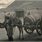 Aden - Water cart - Jemen