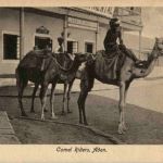 Aden - Camel Riders - Jemen