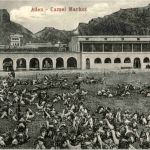 Aden - Camel market - Jemen