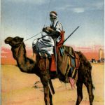 Mehariste Targui - camel