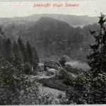 Steinicht