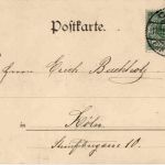 Jagd Postkarte - Enten