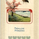Pfingsten - Maikäfer
