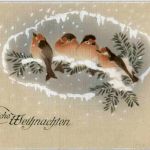 Weihnachten - Vögel