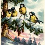Neujahr - Vögel