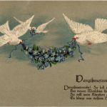 Vergissmeinnicht - Tauben