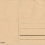 Vergissmeinnicht - Tauben