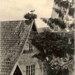 Eutin - Storchnest