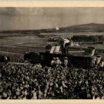 Hautvillers - Scene de vendange