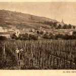 Barr - Blick gegen die Stadt
