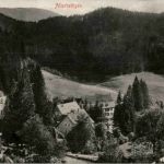 Oppenau - Kloster Allerheiligen