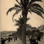 Cannes - Le Boulevard de la Croisette
