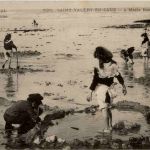 Le Littoral - Saint Valery en Caux