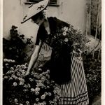 Nice - La Cueille des Fleurs