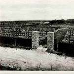 Arras - Saint Laurent Blangy - Cimetiere militaire allemand