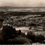 Saverne - Ville des Roses