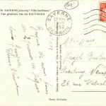 Saverne - Ville des Roses