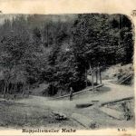 Rappoltsweiler - Ribeauville