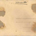 Rappoltsweiler - Ribeauville