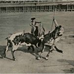 Nimes - Courses le Taureux
