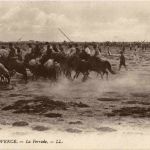 La Ferrade - En Provence