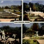Sangerhausen - Rosarium