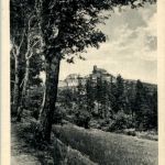 Mückentürmchen