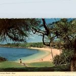 Maui - FlemmingsBeach