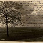 Blick in Rheintal