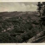 Calw