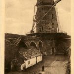 Zons am Rhein - Mühle