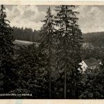 Waldhaus Naupoldsmühle im Mühltal