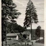 Gruss aus der Bockmühle im Zeitzgrund