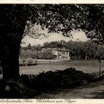 Bad Klosterlausnitz, Waldhaus Zur Köppe